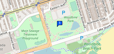 Bark in the Park TO, Woodbine Park, 1695 Queen St E, Toronto